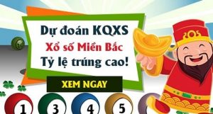 Dự đoán kết quả 13/12